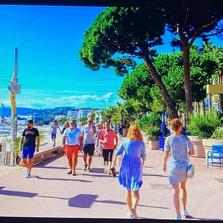 2chambres 2 Salles De Bains Palais Des Festivals Канны