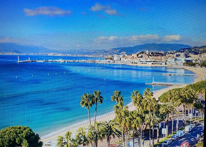 2chambres 2 Salles De Bains Palais Des Festivals Daire