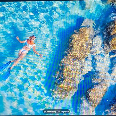 2chambres 2 Salles De Bains Palais Des Festivals Апартаменты